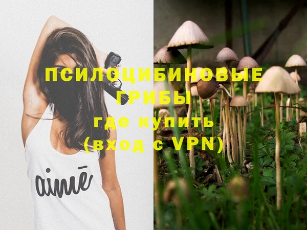MESCALINE Вяземский