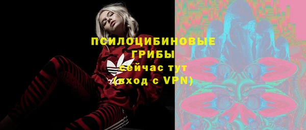 MESCALINE Вяземский