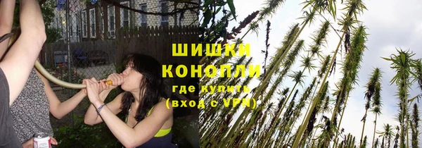 герыч Вязьма